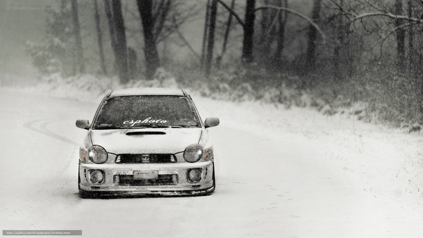 car driving in snowy forest
