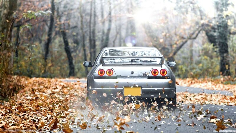 car driving on autumn road