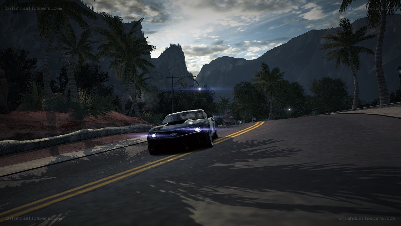 car driving on tropical road