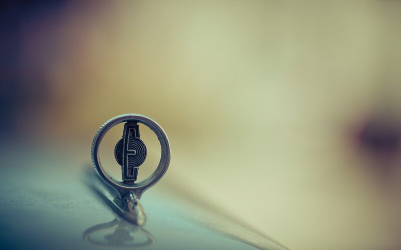 car emblem on hood