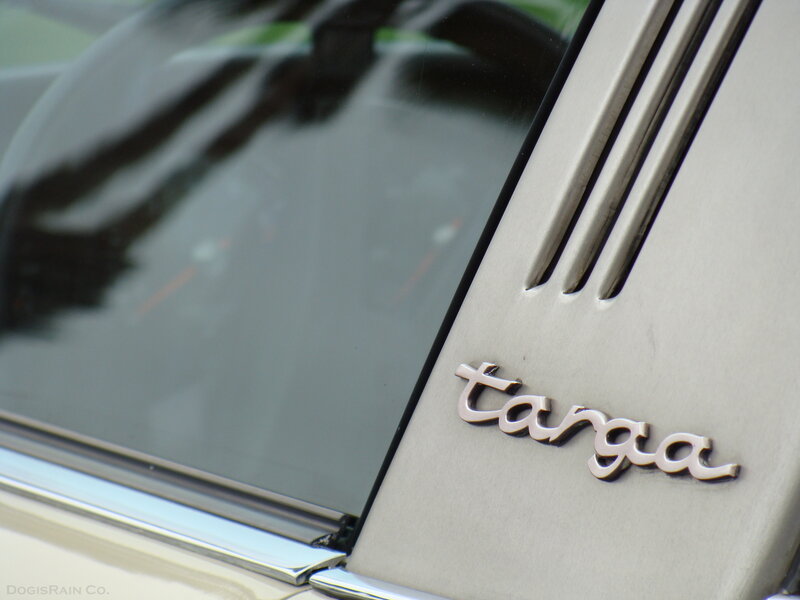 Car Emblem on Trunk