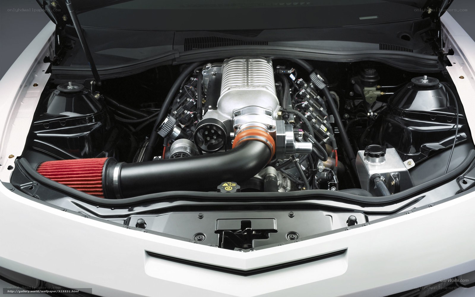 car engine under hood