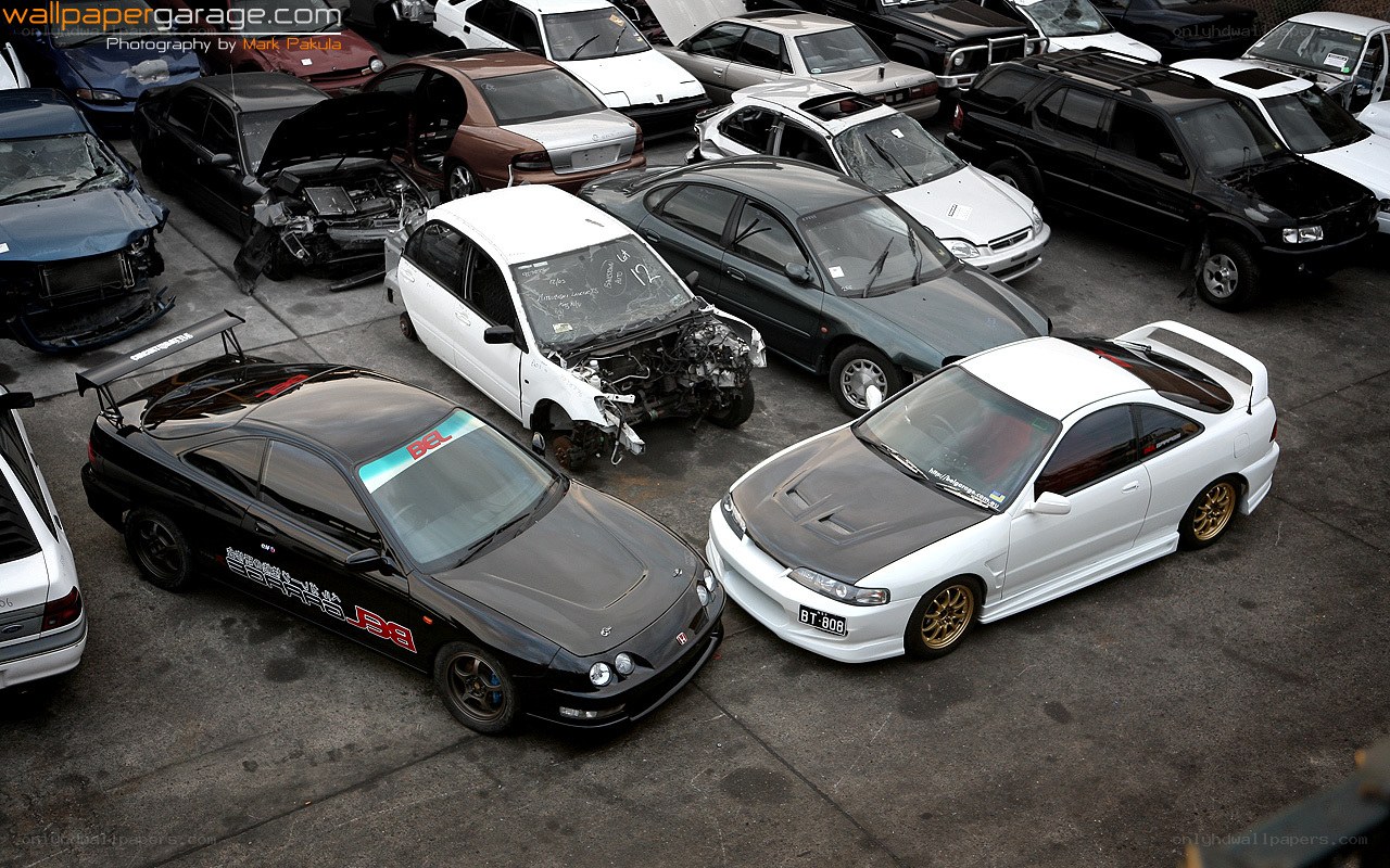 Car graveyard with damaged vehicles
