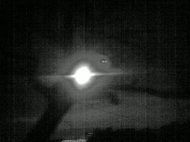 Car Headlights at Night — Black, Dark