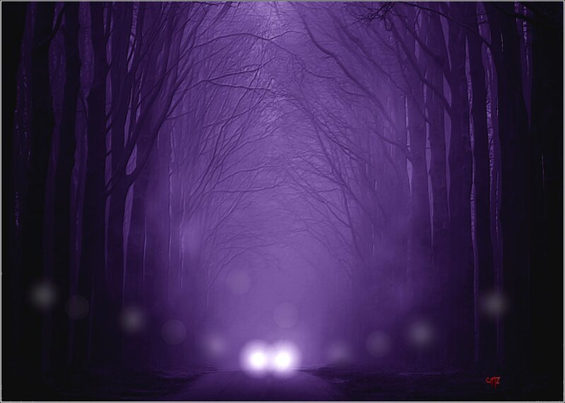 Car Headlights in Forest — Purple