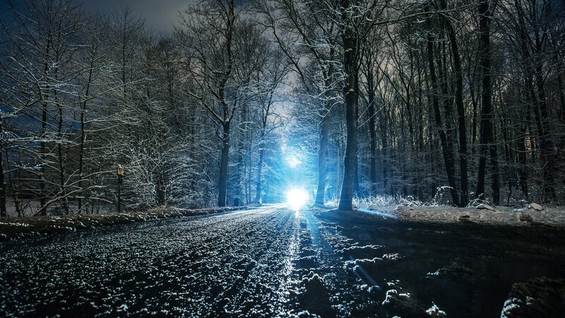Car Headlights in Snowy Forest