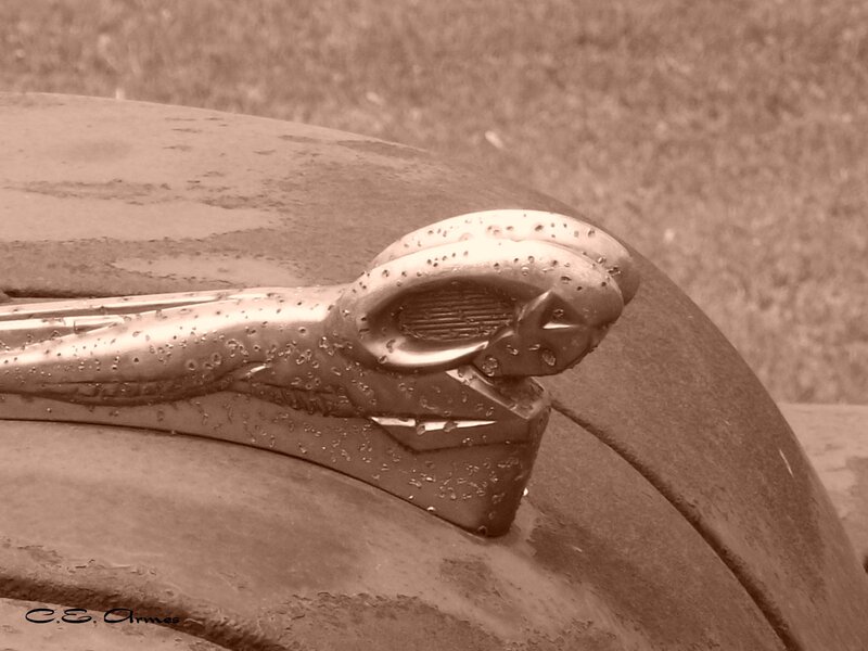 Car Hood Ornament — Brown