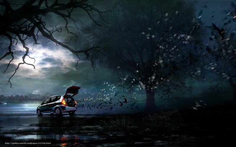 Car in a dark forest scene
