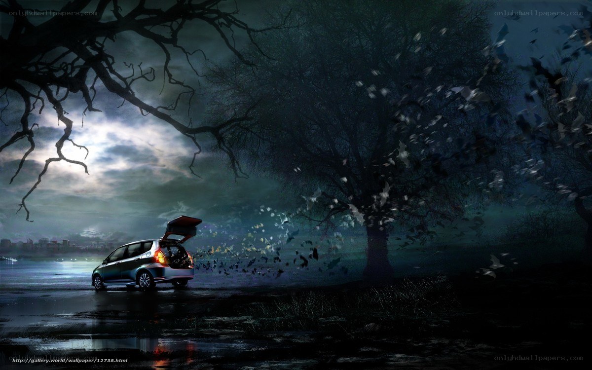 Car in a dark forest scene