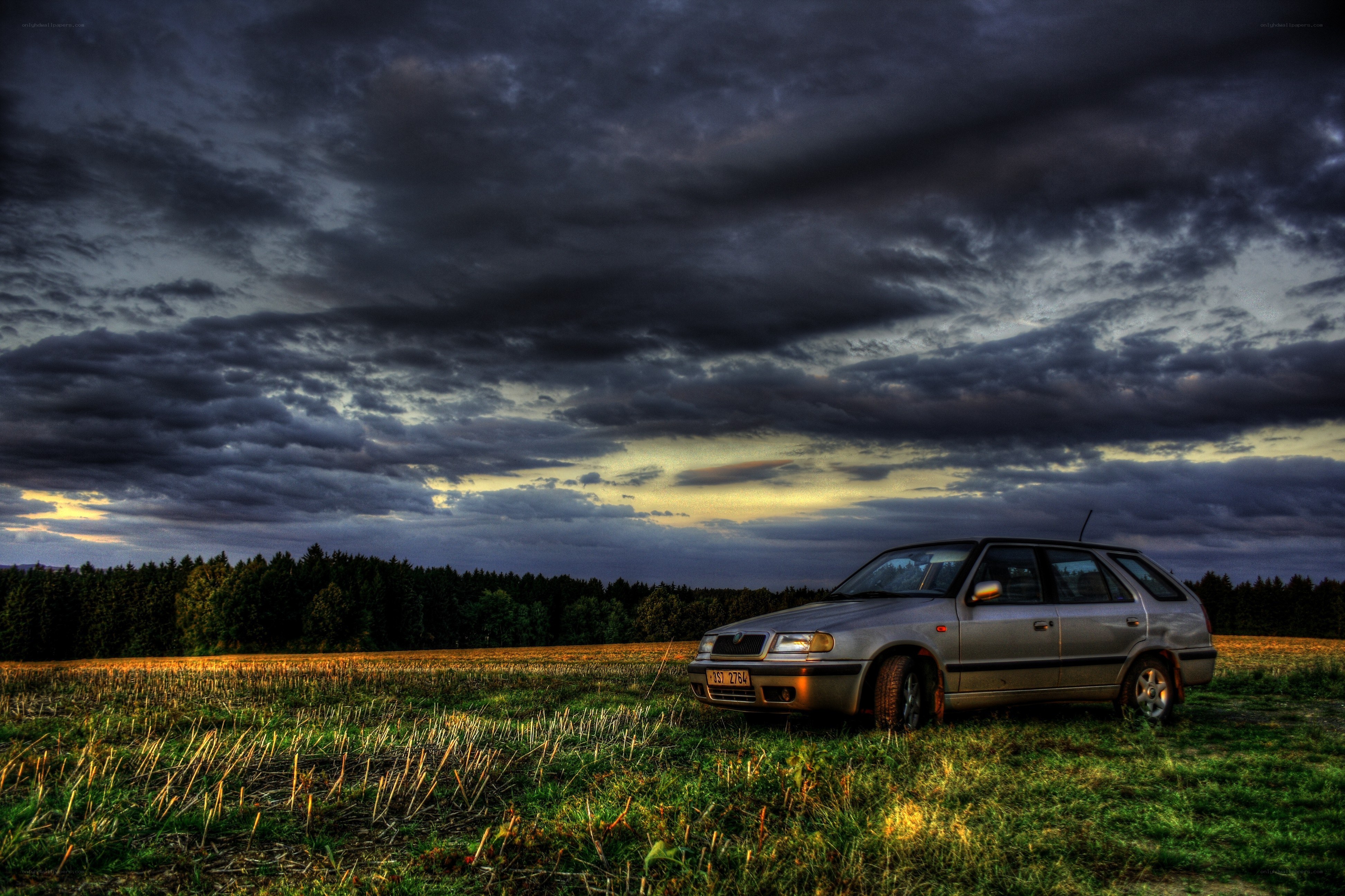 Car in a field at dusk