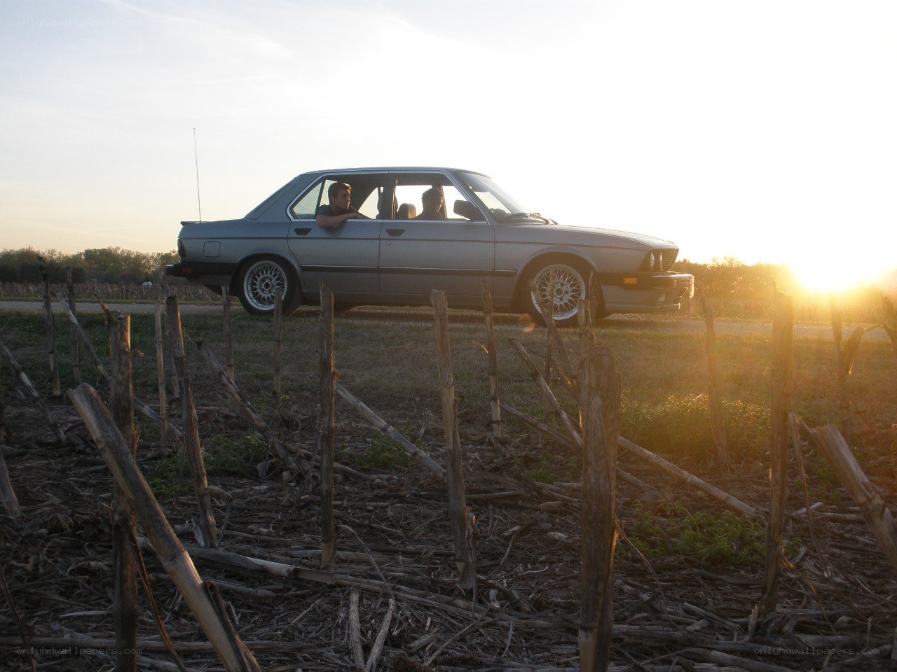 Car in field at sunset