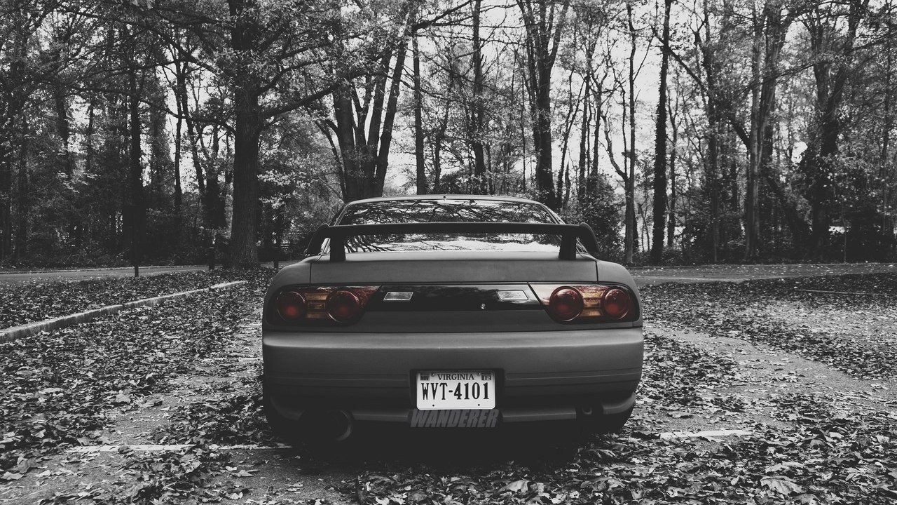 car in forest with leaves