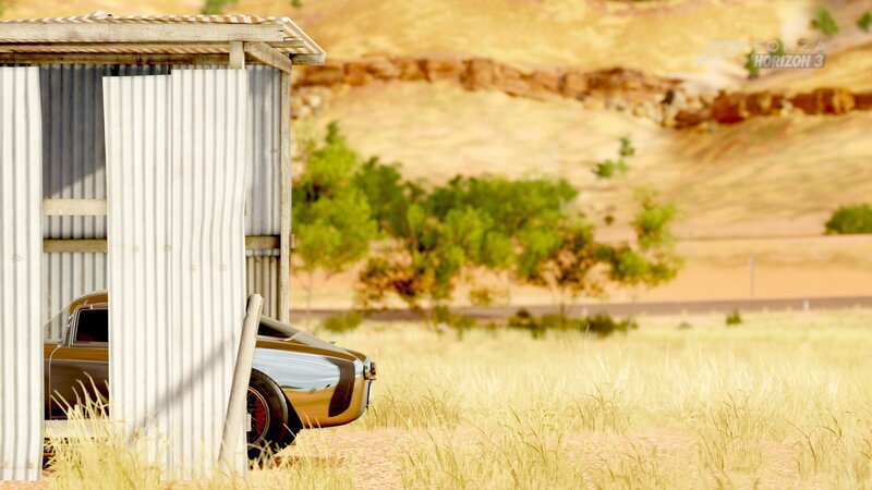 Car in Shed