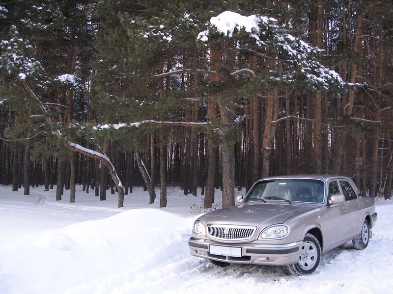 Car in snowy forest