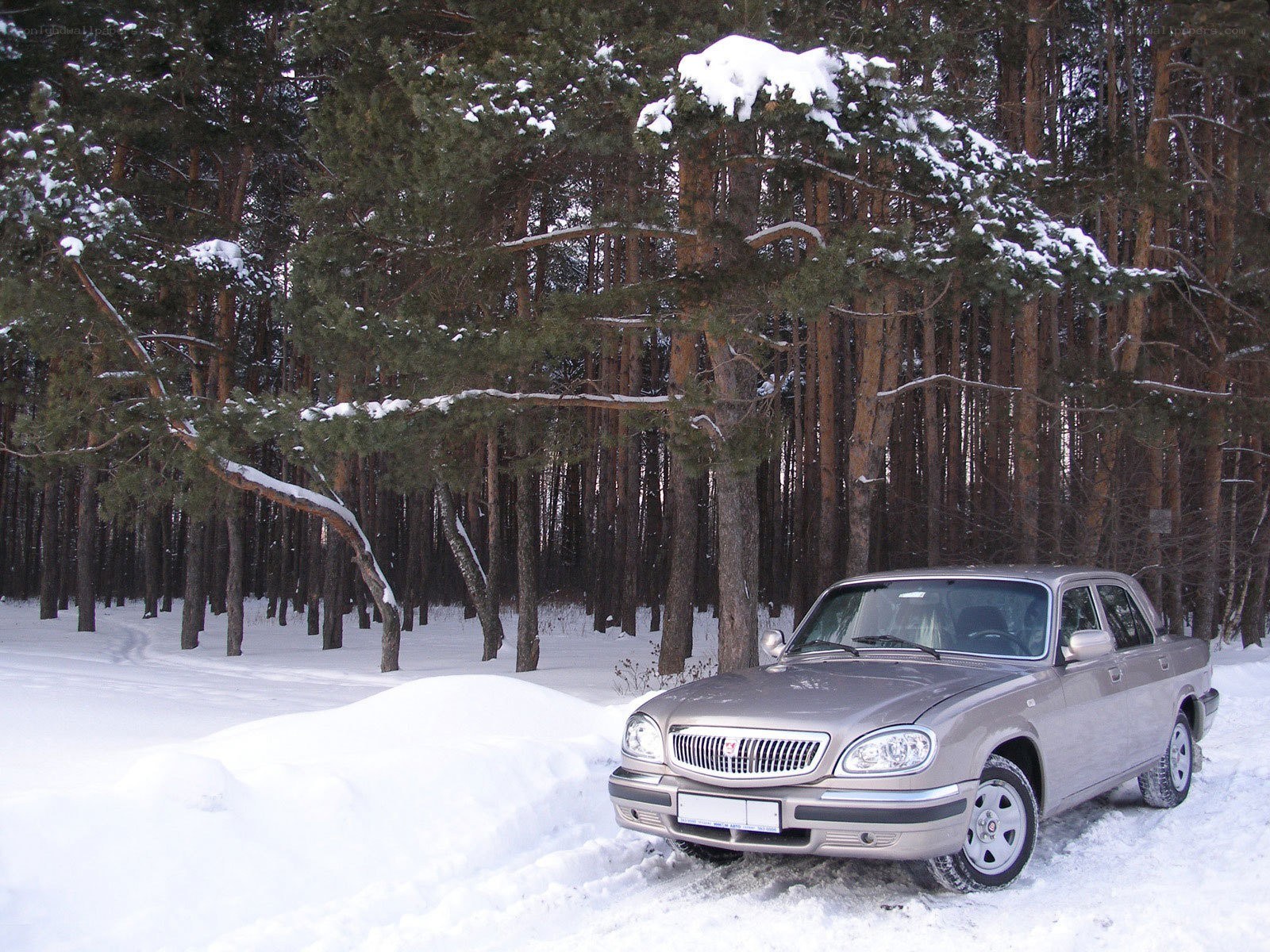 Car in snowy forest