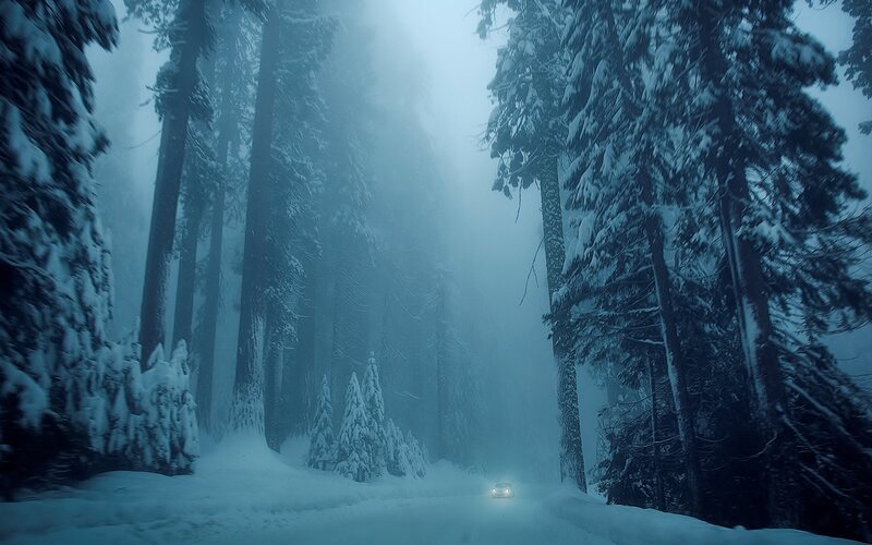 Car in Snowy Forest — Blue