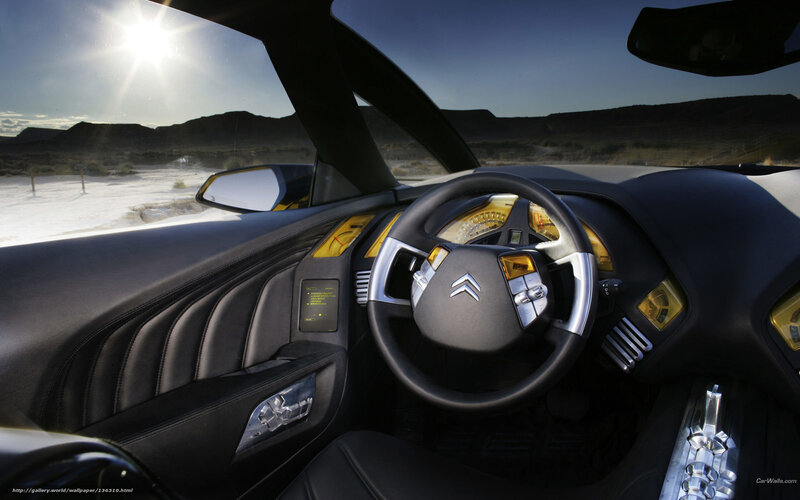 Car Interior — Black, Dramatic, Afternoon