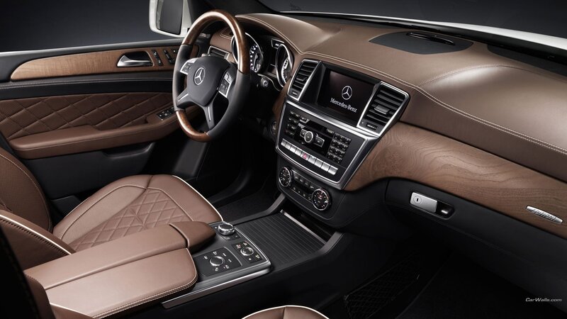 Car Interior — Brown, Steering Wheel