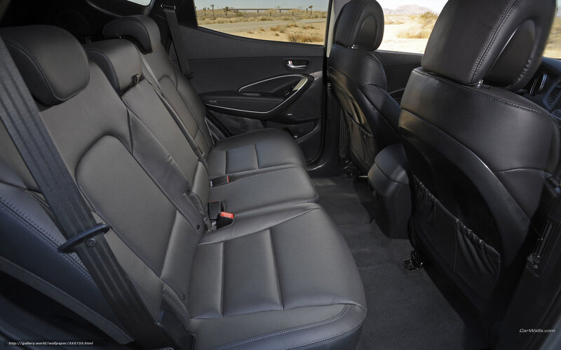 Car Interior Rear Seats — Black, Neutral, Afternoon