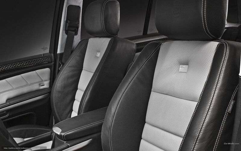 Car Interior Seats — Black, Neutral, Photograph