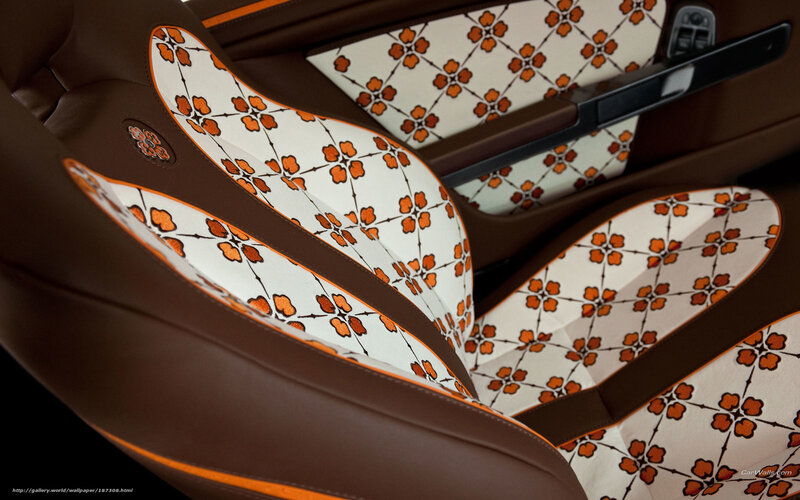 Car Interior Seats — Brown, Luxurious