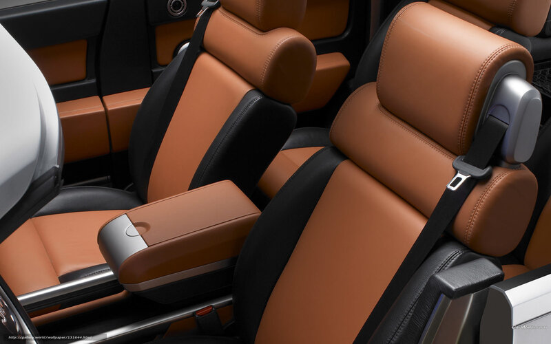 Car Interior Seats — Brown, Neutral