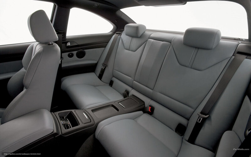 Car Interior Seats — Gray, Neutral