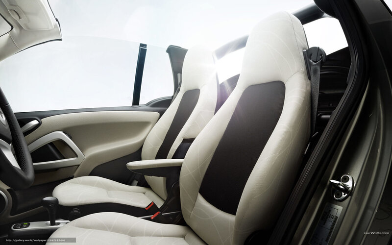 Car Interior Seats — White, Neutral, Photograph