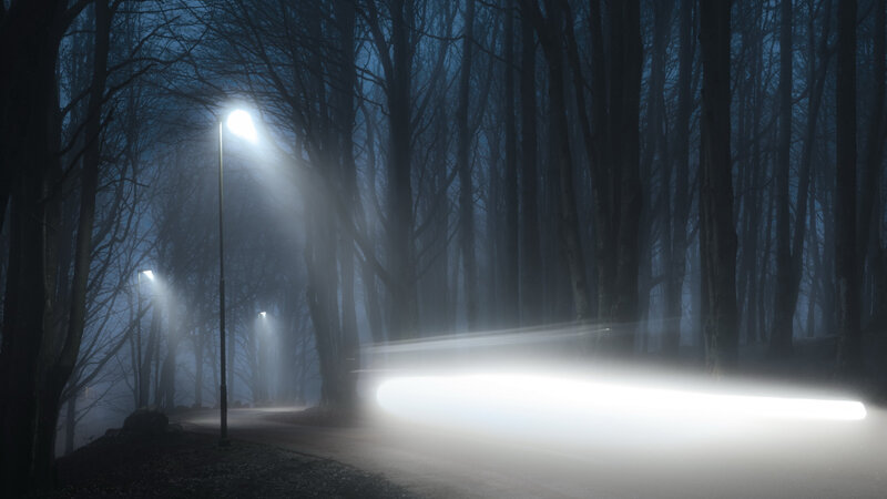 Car Light Trail in Forest