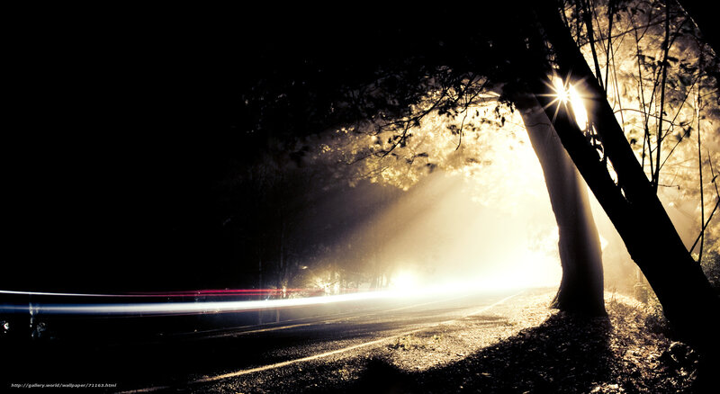 Car Light Trails on Road — Black, Dramatic