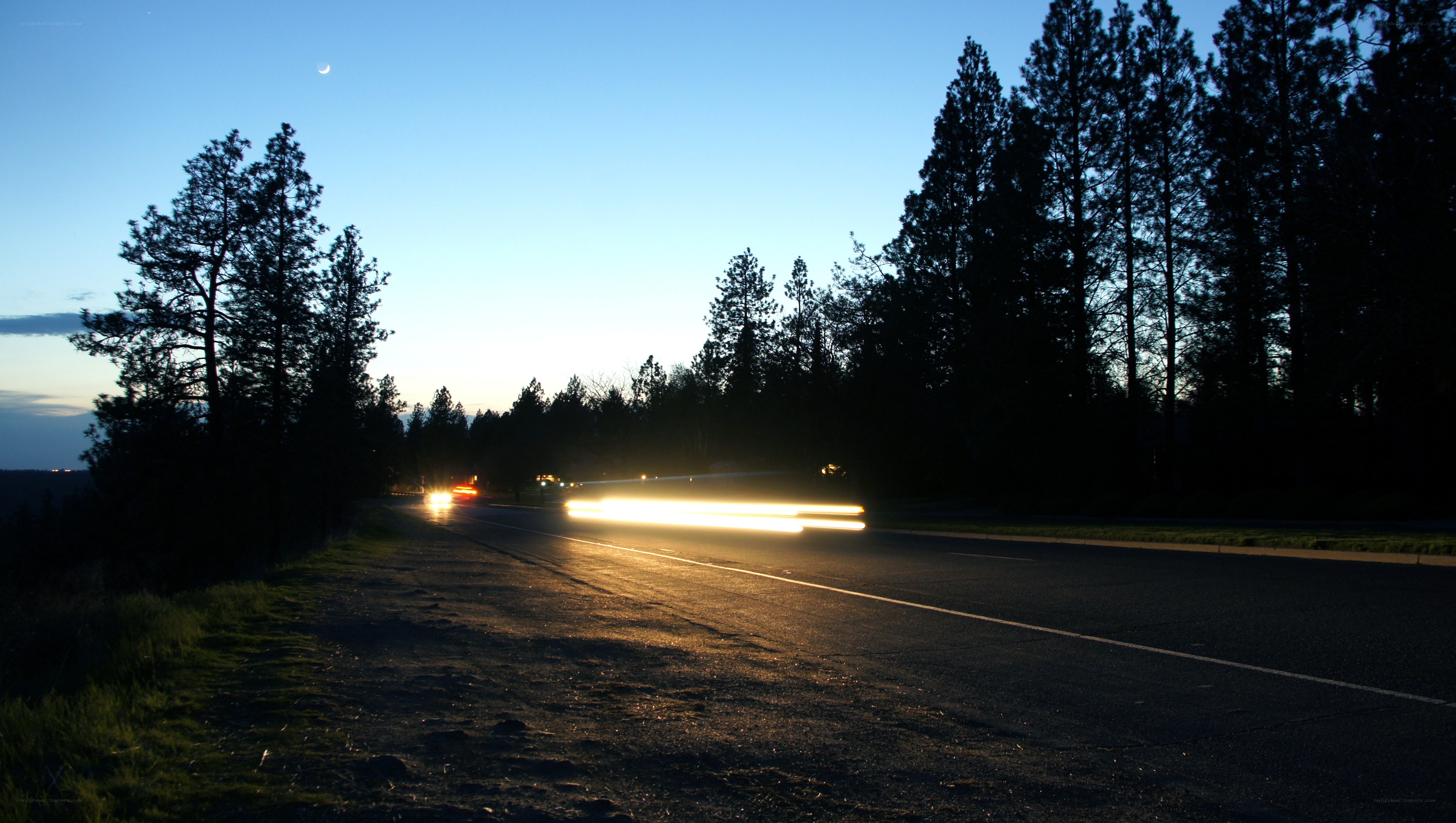 Car lights on a forest road at dusk