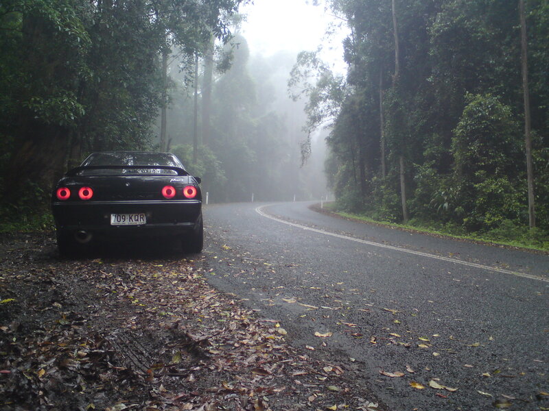 Car on a foggy forest road