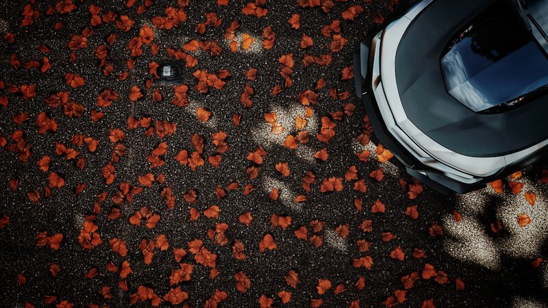 Car on Autumn Leaves