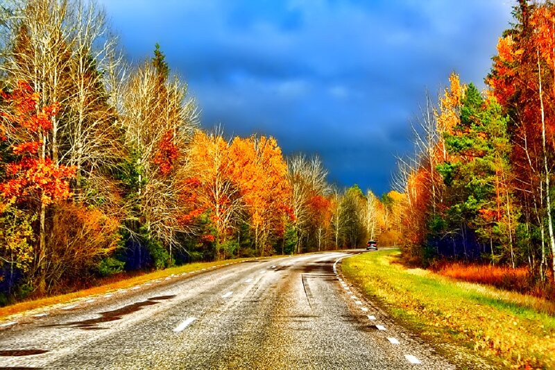 Car on Autumn Road — Blue