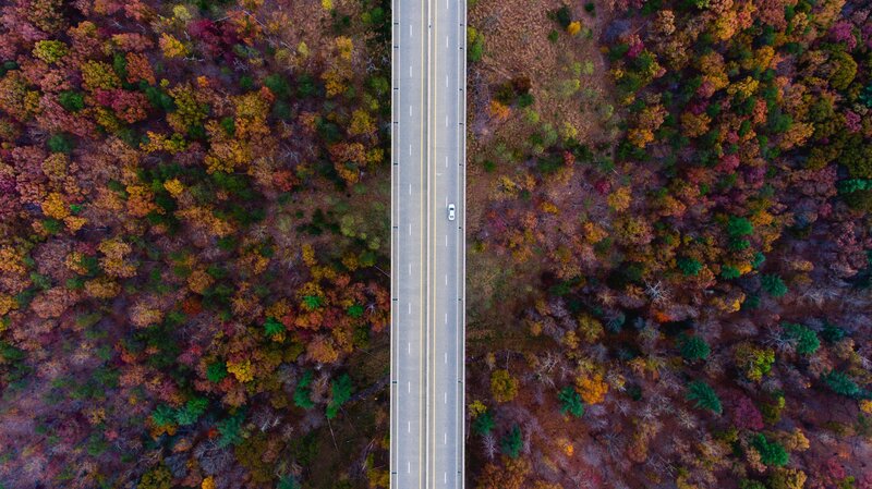 Car on Autumn Road — Green