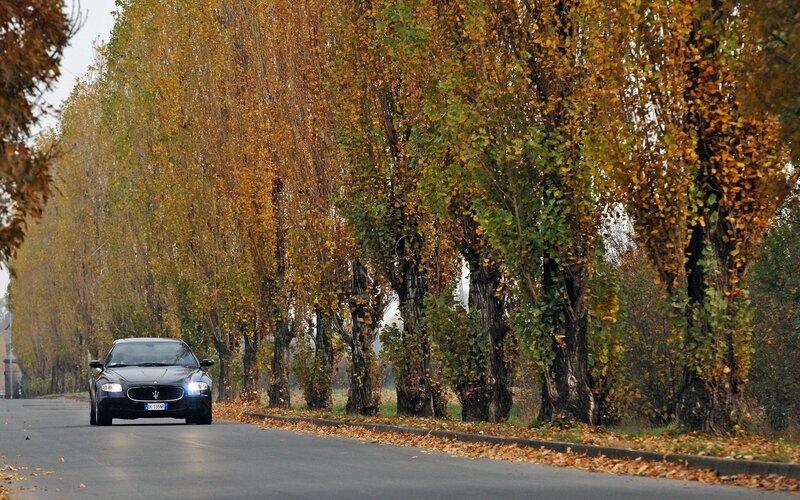 Car on autumn tree-lined road