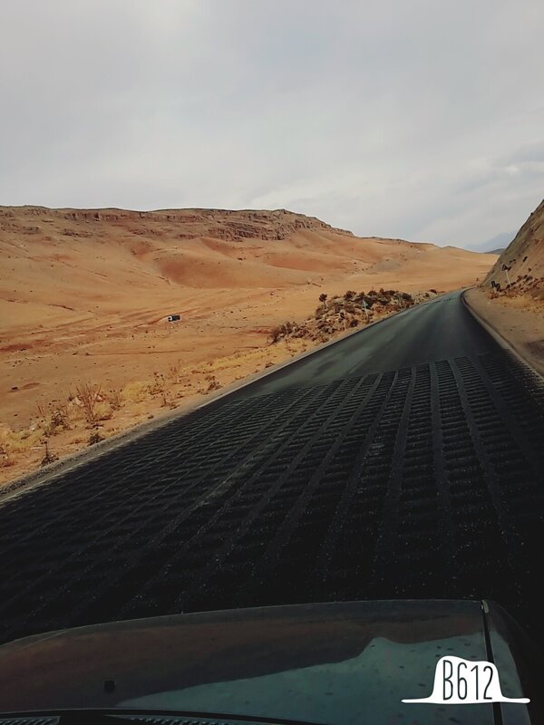 Car on Desert Road — Brown