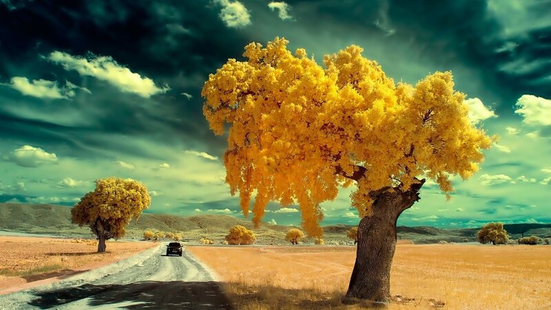 Car on Dirt Road