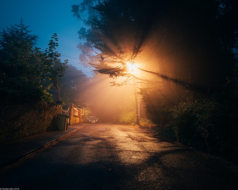 Car on Foggy Road — Blue