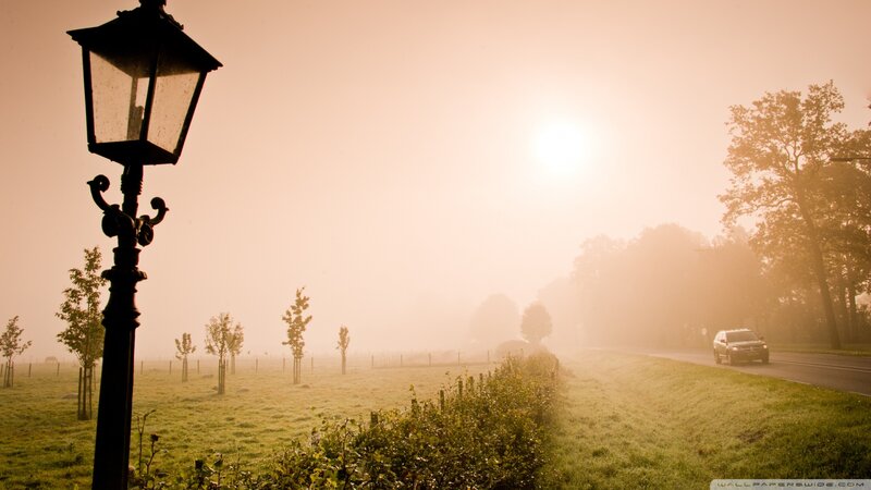 Car on Foggy Road — Green