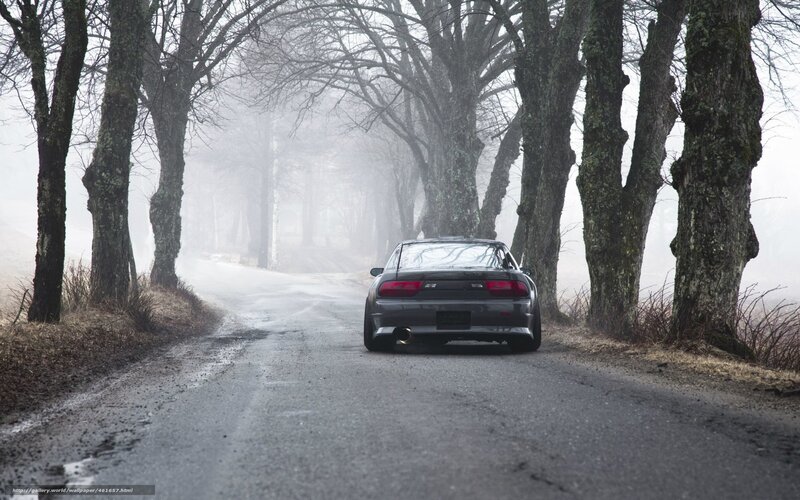 car on foggy road