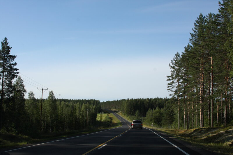 Car on forest road