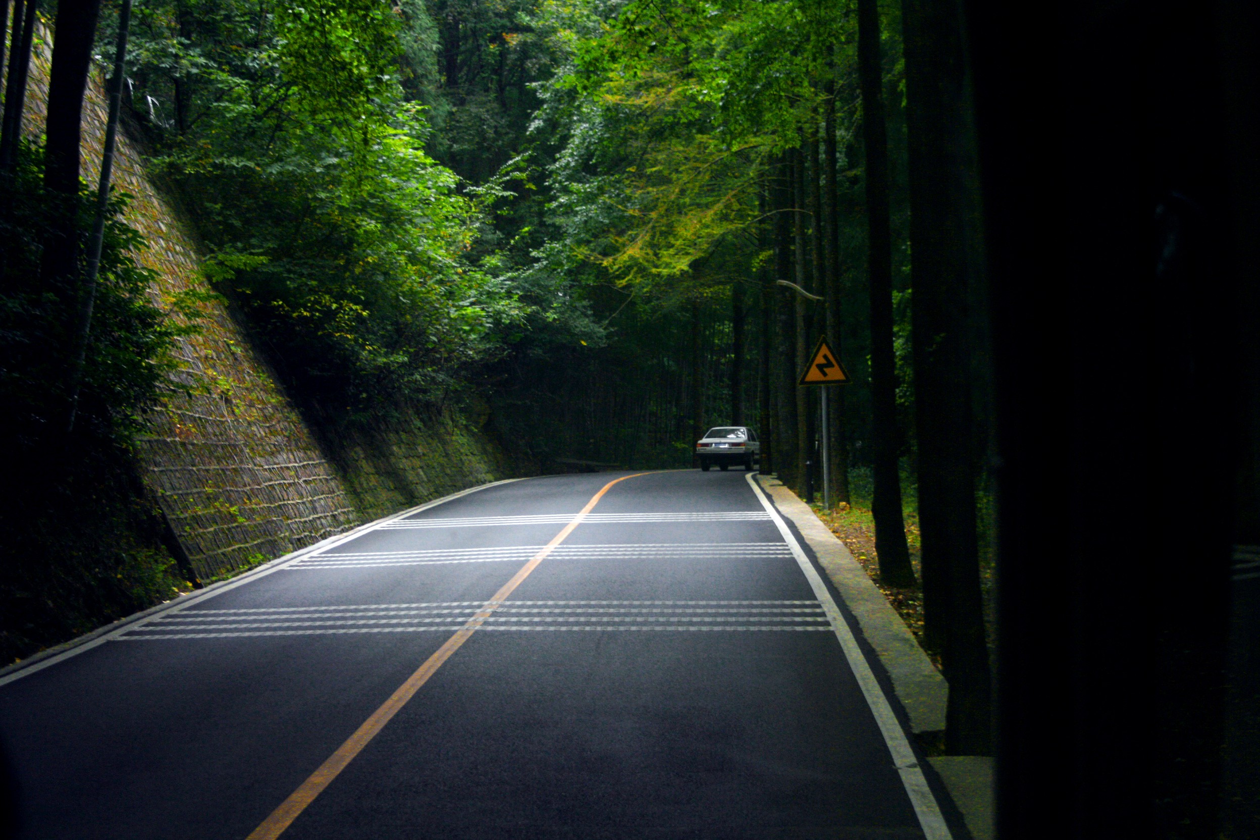 Car on forest road at night