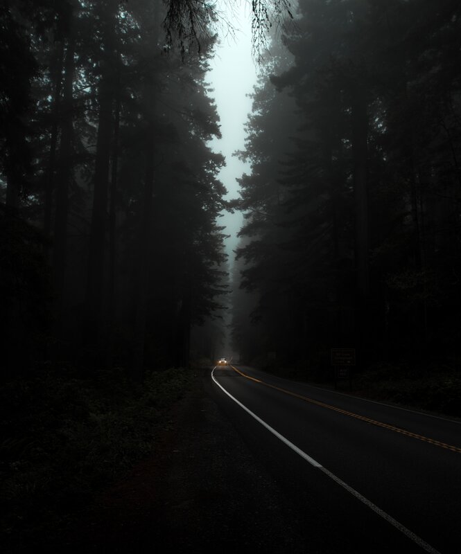 Car on Forest Road — Black, Dark