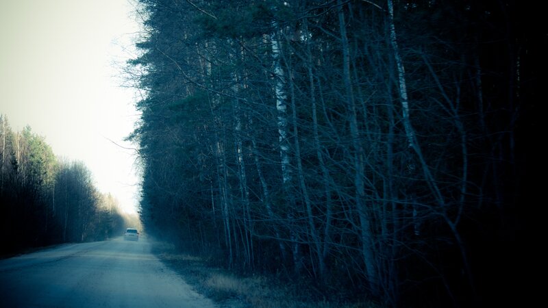 Car on forest road