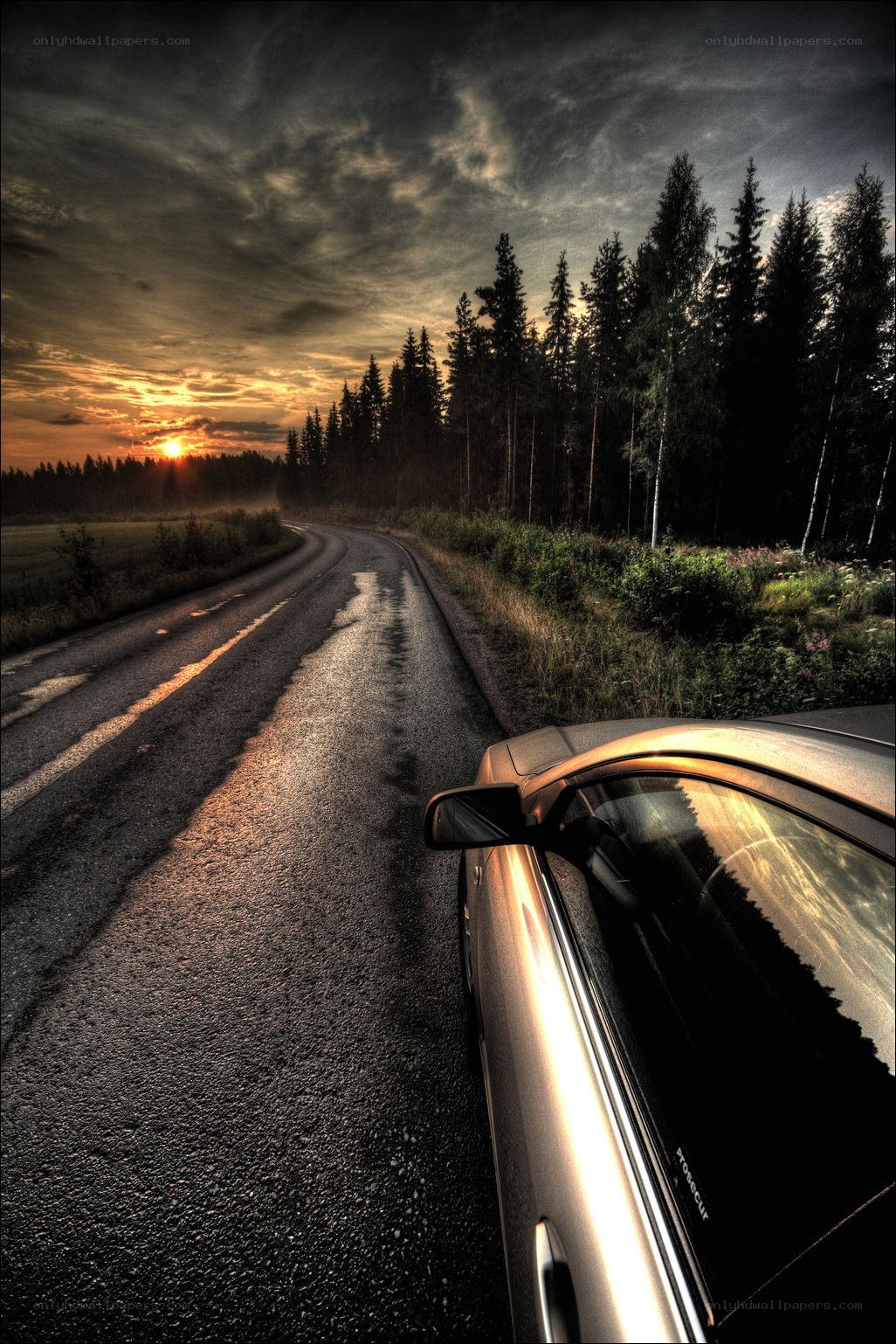 Car on road at sunset