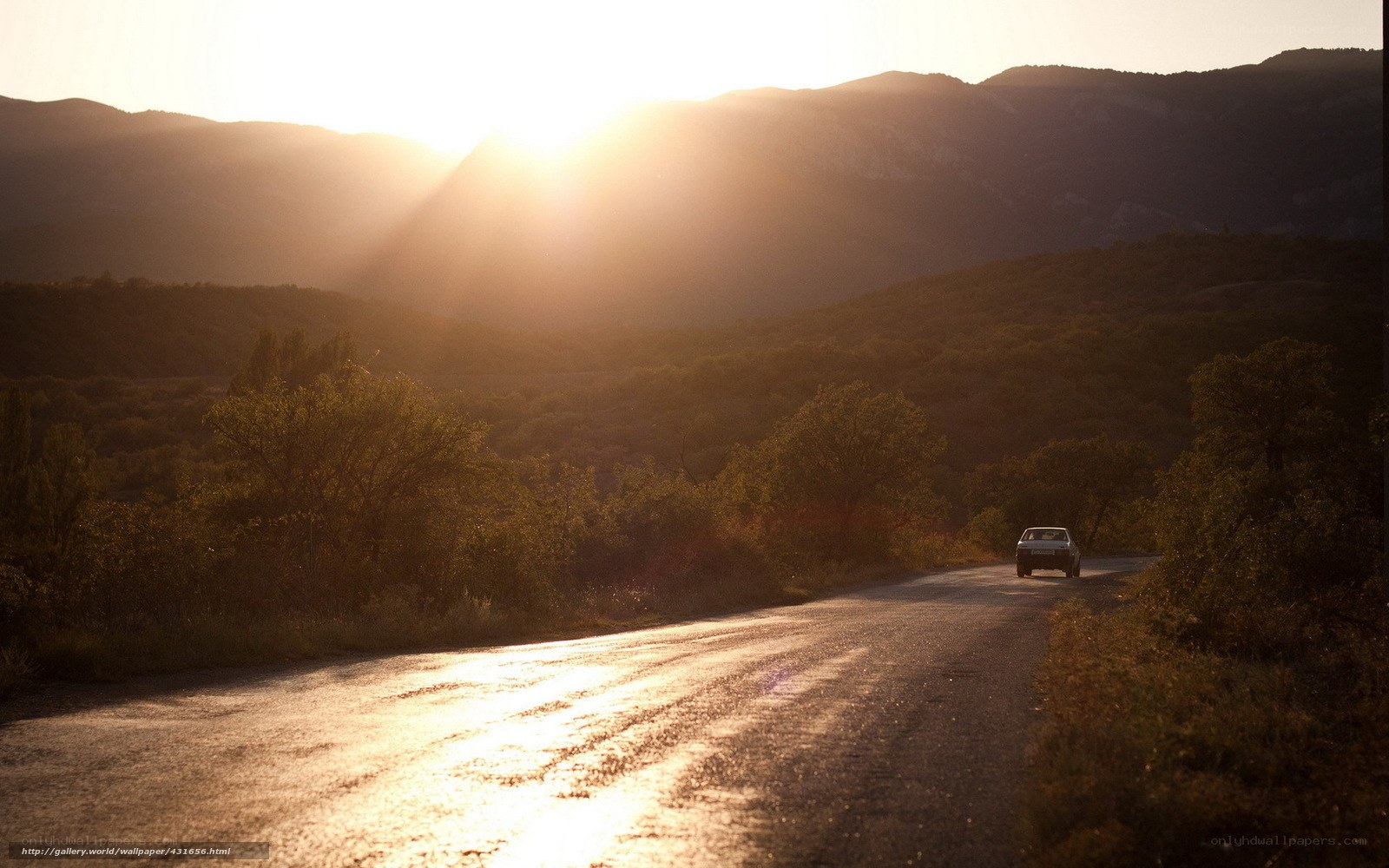 Car on road at sunset