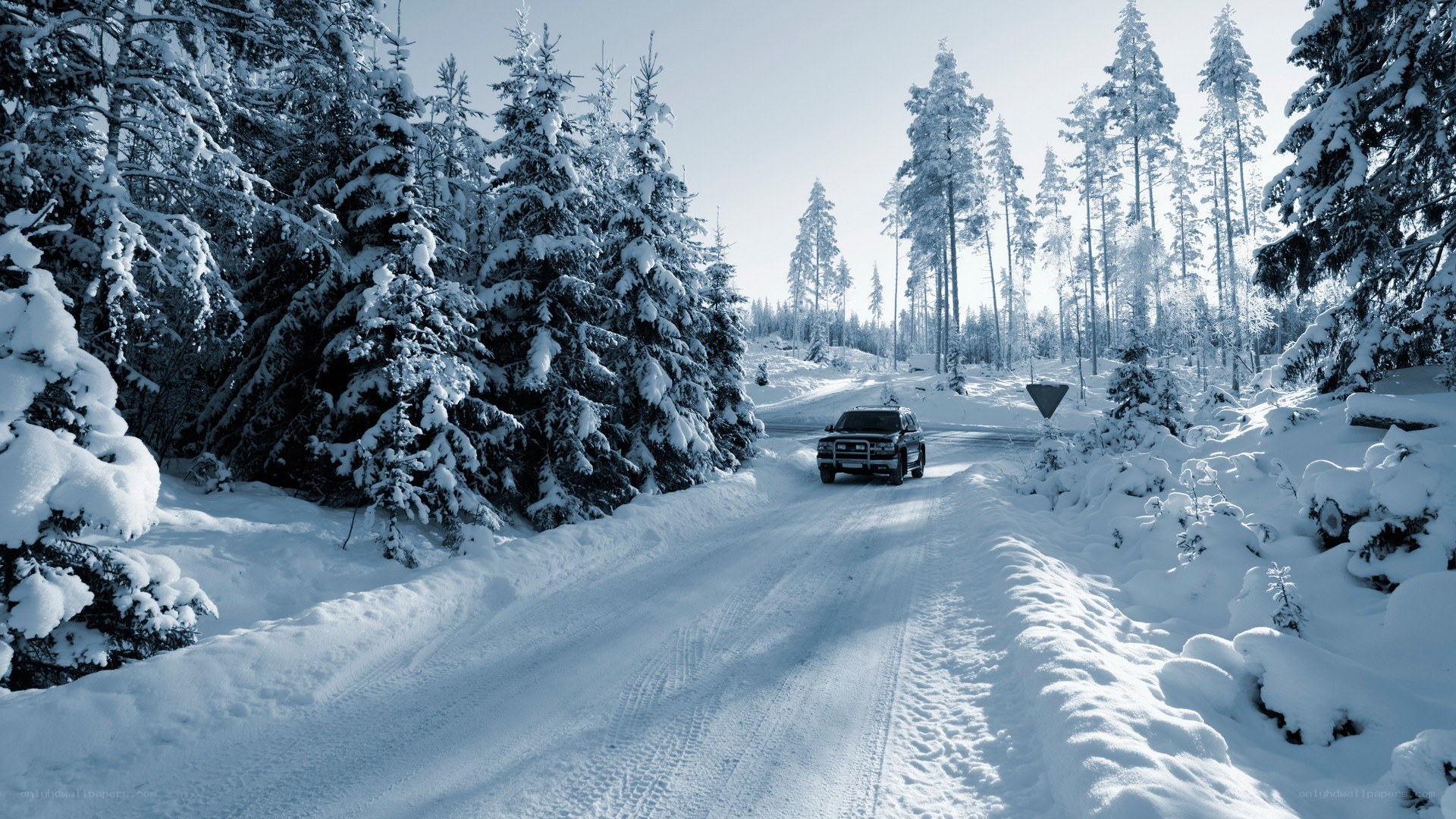 Car on snowy forest road