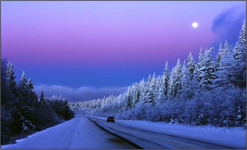 Car on Snowy Road — Purple