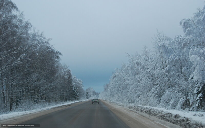 Car on Snowy Road — White, Cold, Winter, Photograph, Trees